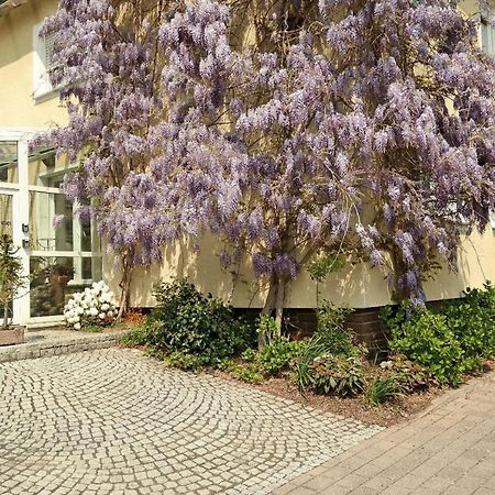 Pension Franzbaecker ヴァールブルク エクステリア 写真
