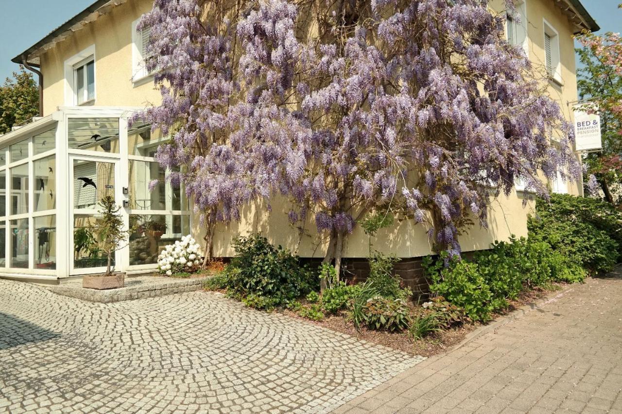 Pension Franzbaecker ヴァールブルク エクステリア 写真